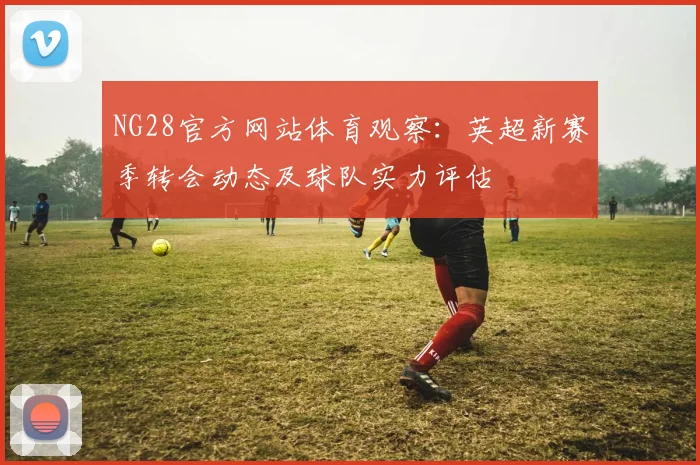 NG28官方网站体育观察：英超新赛季转会动态及球队实力评估